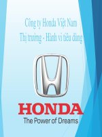 thị trường hành vi tiêu dùng công ty hon đa việt nam