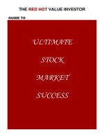 the red hot value investor guide to ulti mate stock market success