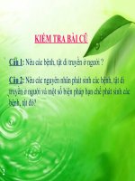 bài giảng sinh học 9 bài 30 di truyền học với người