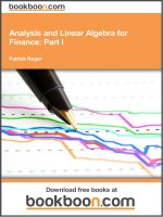 analysis and linear algebra for finance  1