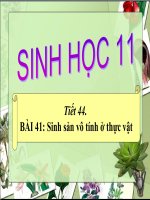 bài giảng sinh học 11 bài 41 sinh sản vô tính ở thực vật