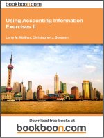 Using Accounting Information Exercises II