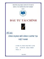 ứng dụng mô hình capm tại việt nam
