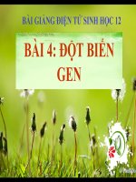 bài giảng sinh học 12 bài 4 đột biến gen