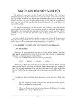 NGUỒN gốc dầu mỏ và KHÍ đốt