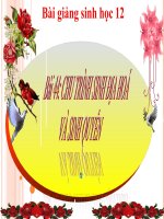 bài giảng sinh học 12 bài 44 chu trình sinh địa hóa và sinh quyển