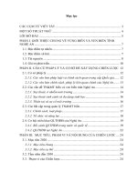 chiến lược quản lý tổng hợp đới bờ tỉnh nghệ an đến năm 2020, tầm nhìn đến năm 2030