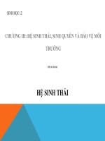 bài giảng sinh học 12 bài 43 trao đổi vật chất trong hệ sinh thái