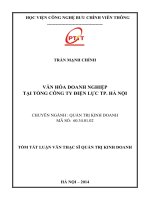 VĂN HÓA DOANH NGHIỆP TẠI TỔNG CÔNG TY ĐIỆN LỰC THÀNH PHỐ HÀ NỘI