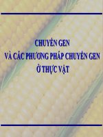 chuyển gen và các phương pháp chuyển gen ở thực vật