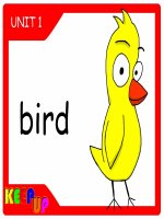 unit 1 animals flashcards