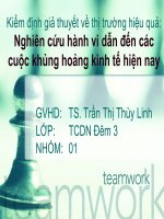 Kiểm định giả thuyết về thị trường hiệu quả: nghiên cứu hành vi dẫn đến các cuộc khủng hoảng kinh tế hiện nay (file word +ppt + phân tích bằng excel)