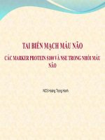 tai biến mạch máu não các marker protein s100 và nse trong nhồi máu não