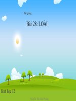 bài giảng sinh học 12 bài 28 loài