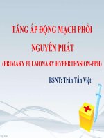 tăng áp động mạch phổi nguyên phát (primary pulmonary hypertension-pph)