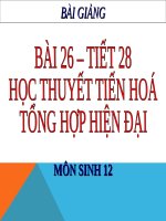 bài giảng sinh học 12 bài 26 thuyết tiến hóa tổng hợp hiện đại