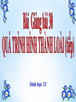 bài giảng sinh học 12 bài 30 quá trình hình thành loài (tt)