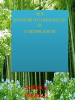 bài giảng sinh học 12 bài 36 quần thể sinh vật và mối quan hệ giữa các cá thể trong quần thể