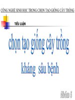 tiểu luận chọn tạo giống cây trồng kháng sâu bệnh