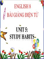 bài giảng tiếng anh 8 unit 5 study habits