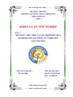 kế toán tiêu thụ và xác định kết quả kinh doanh tại công ty tnhh mtv tân nguyên