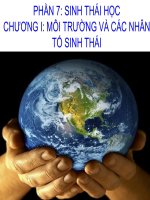 bài giảng sinh học 12 bài 35 môi trường sống và các nhân tố sinh thái