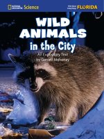 wild animals in the city