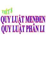 bài giảng sinh học 12 bài 8 quy luật menden - quy luật phân li