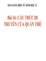 bài giảng sinh học 12 bài 16 cấu trúc di truyền của quần thể