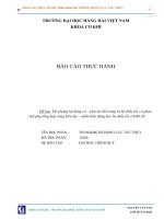 Báo cáo thực hành Tự động điều chỉnh và điều khiển hệ động lực