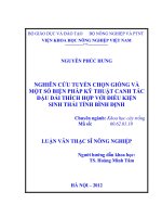Nghiên cứu tuyển chọn giống và một số biện pháp kỹ thuật canh tác đậu dải thích hợp với điều kiện sinh thái tỉnh bình định