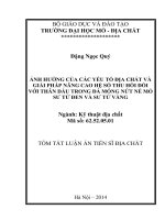 ảnh hưởng của các yếu tố địa chất và giải pháp nâng cao hệ số thu hồi đối với thân dầu trong đá móng nứt nẻ mỏ sư tử đen và sư tử vàng