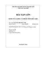 BÀI TẬP LỚN KINH TẾ LƯỢNG VÀ PHÂN TÍCH DỮ LIỆU PHÂN TÍCH BỘ SỐ LIỆU: về số lượng mua hàng qua mạng