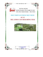 đề tài trà atisô cam thảo đóng chai