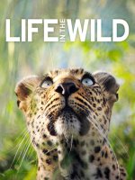 life in the wild a