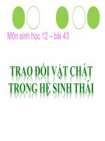 bài giảng sinh học 12 bài 42 hệ sinh thái