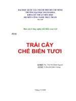 đề tài trái cây chế biến tươi