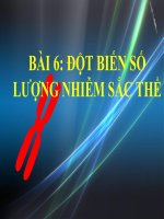 bài giảng sinh học 12 bài 6 đột biến số lượng nhiễm sắc thể