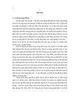 phân tích và đánh giá các nguồn thải nitơ vào đầm cầu hai