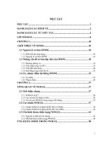 OFDM và ỨNG DỤNG TRONG WIMAX