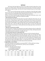 Bài tập lớn môn Kinh tế lượng phân tích về kết quả ước lượng đa cộng tuyến