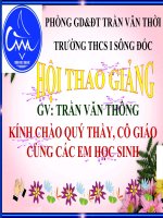 giáo án bồi dưỡng thao giảng, thi giáo viên giỏi sinh học lớp 9 bài 20 đột biến gen (12)
