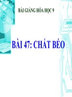 bài giảng hóa học 9 bài 47 chất béo