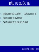 Luận án đầu tư quốc tế