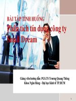 Báo cáo Phân tích tín dụng công ty Small Dream