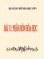 bài giảng hóa học 9 bài 11 phân bón hóa học