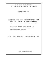 nghiên cứu đề xuất mô hình quản lý chất lượng nước sông sài gòn