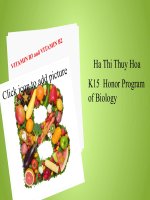 VITAMIN B3 and VITAMIN B2