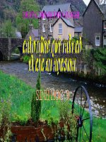 giáo án bồi dưỡng thao giảng, thi giáo viên giỏi sinh học lớp 9 bài 20 đột biến gen (20)