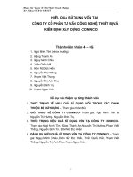 Tiểu luận Quản trị tài chính doanh nghiệp Hiệu quả sử dụng vốn tại công ty cổ phần tư vấn công nghệ, thiết bị và kiểm định xây dựng CONINCO